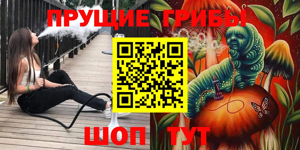 Псилоцибиновые грибы Cubensis Балашов