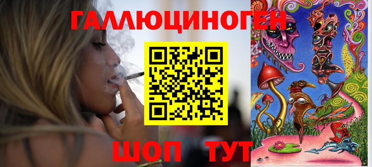 Галлюциногенные грибы Cubensis  Вход с VPN  Балашов  Псилоцибиновые грибы мухоморы 